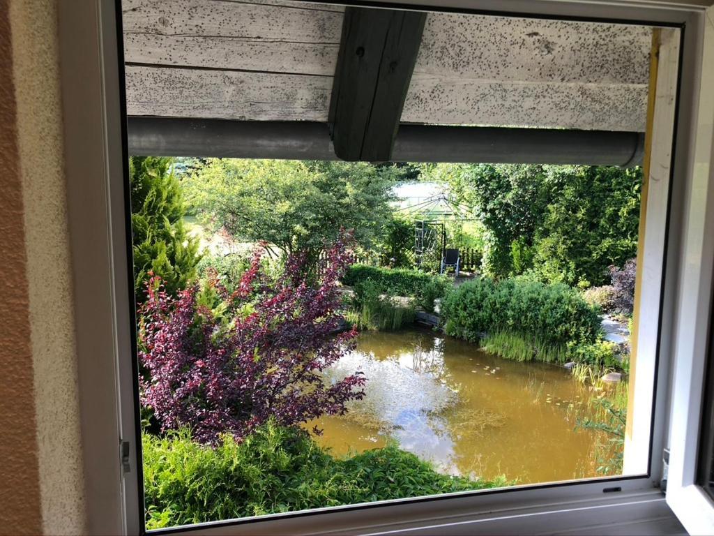 Ferienwohnung Zuendholz Benneckenstein Exteriör bild